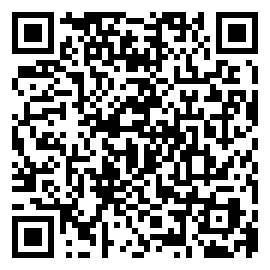 QR Фирменная торговля тест